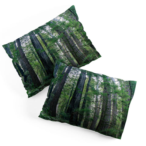 J. Freemond Visuals Among the Giants Pillow Shams