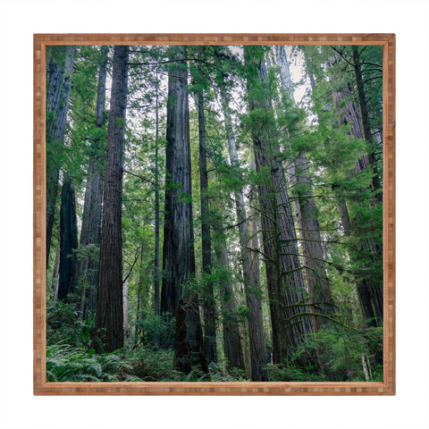 J. Freemond Visuals Among the Giants Square Tray