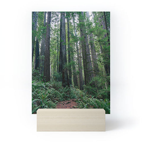 J. Freemond Visuals Among the Giants Mini Art Print