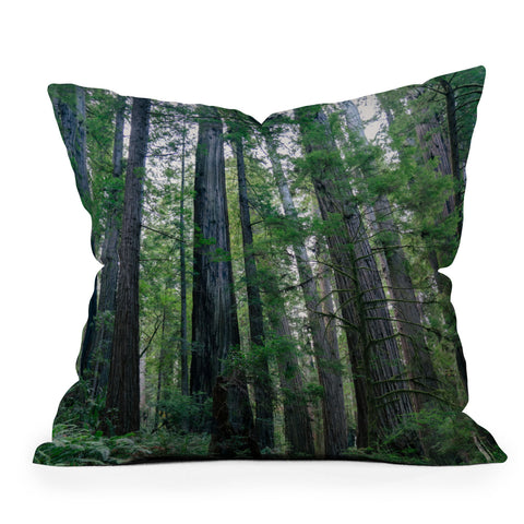 J. Freemond Visuals Among the Giants Throw Pillow