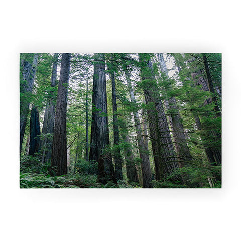 J. Freemond Visuals Among the Giants Welcome Mat