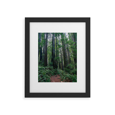 J. Freemond Visuals Among the Giants Framed Art Print