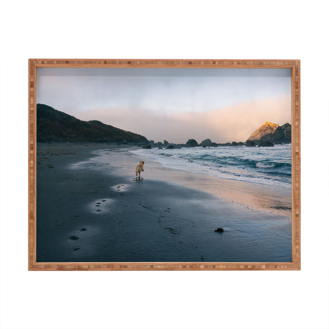 J. Freemond Visuals Beachside Enzo Rectangular Tray