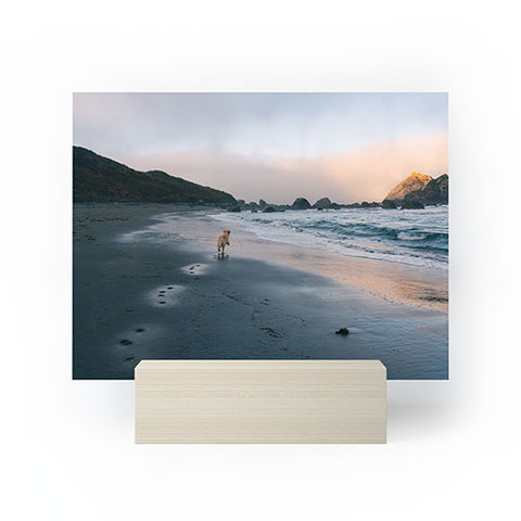 J. Freemond Visuals Beachside Enzo Mini Art Print