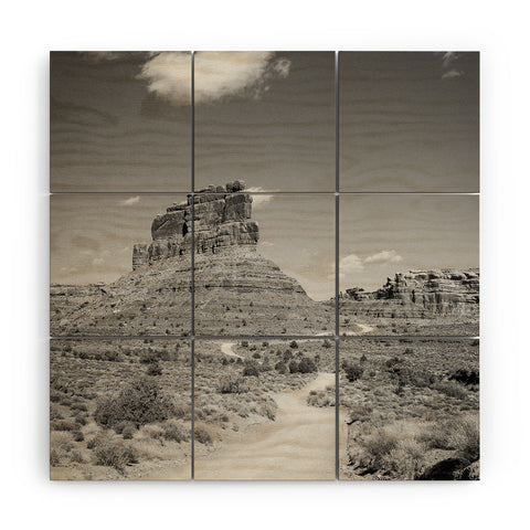 J. Freemond Visuals Desert Solitaire Wood Wall Mural