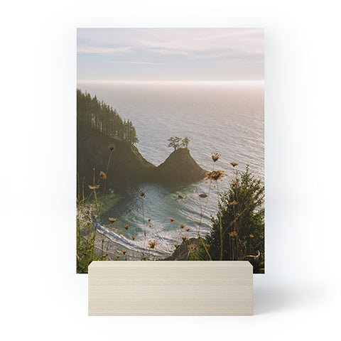 J. Freemond Visuals Golden Coast Mini Art Print