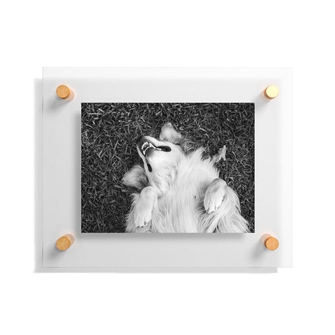 J. Freemond Visuals Goofy Enzo Floating Acrylic Print