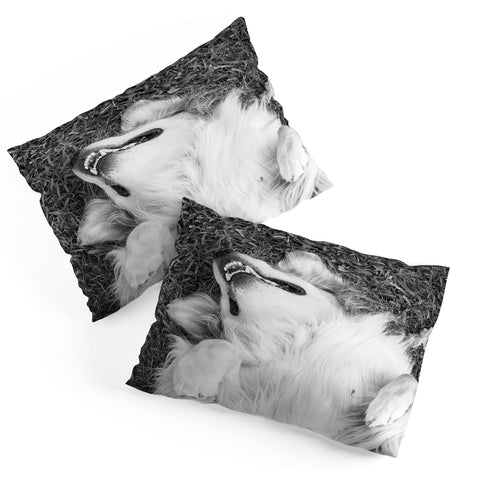 J. Freemond Visuals Goofy Enzo Pillow Shams