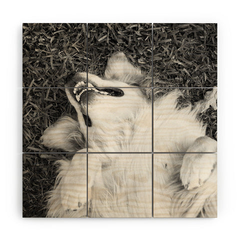 J. Freemond Visuals Goofy Enzo Wood Wall Mural