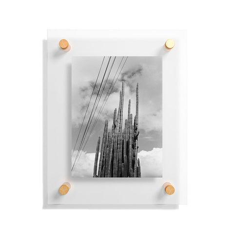 J. Freemond Visuals Highline Cacti Floating Acrylic Print
