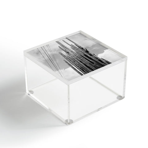 J. Freemond Visuals Highline Cacti Acrylic Box