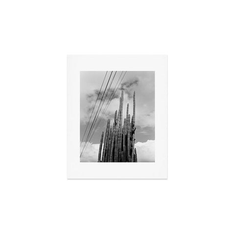 J. Freemond Visuals Highline Cacti Art Print