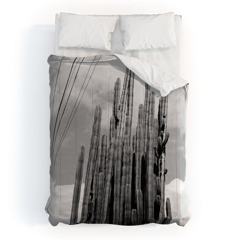 J. Freemond Visuals Highline Cacti Comforter
