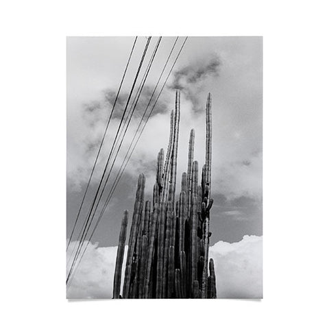 J. Freemond Visuals Highline Cacti Poster