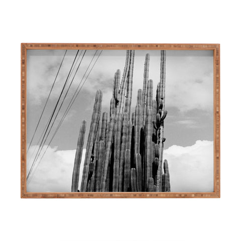 J. Freemond Visuals Highline Cacti Rectangular Tray