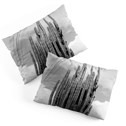J. Freemond Visuals Highline Cacti Pillow Shams
