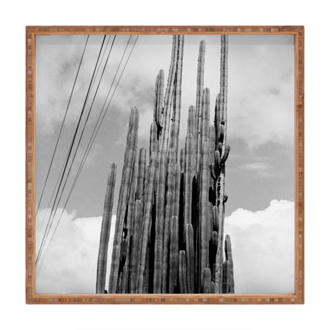 J. Freemond Visuals Highline Cacti Square Tray