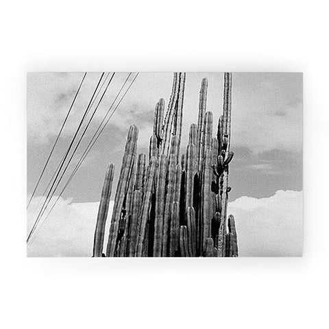 J. Freemond Visuals Highline Cacti Welcome Mat