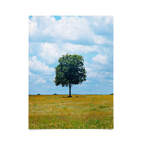 J. Freemond Visuals Lone Ranger Poster