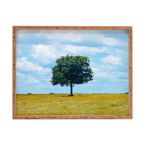 J. Freemond Visuals Lone Ranger Rectangular Tray