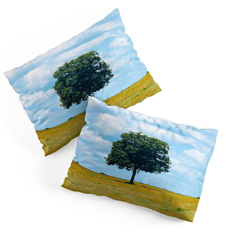 J. Freemond Visuals Lone Ranger Pillow Shams