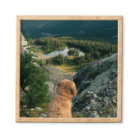 J. Freemond Visuals Lookout Enzo Framed Wall Art
