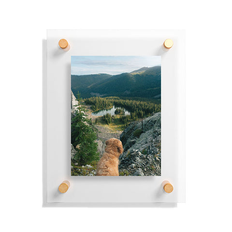 J. Freemond Visuals Lookout Enzo Floating Acrylic Print