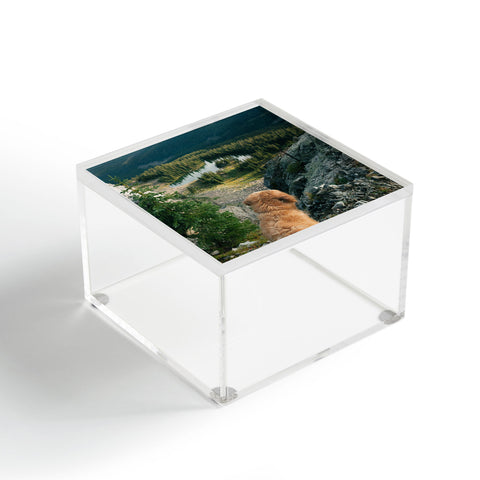 J. Freemond Visuals Lookout Enzo Acrylic Box