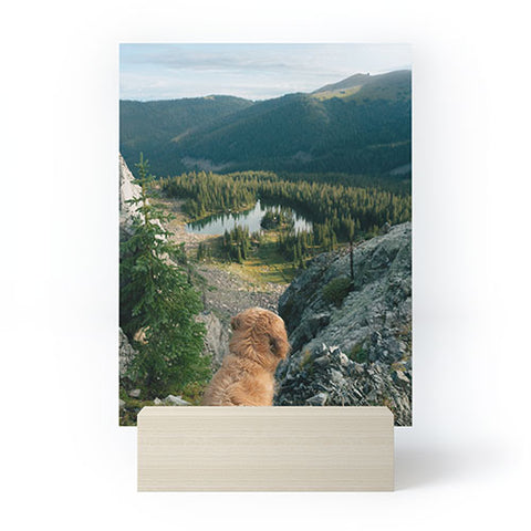 J. Freemond Visuals Lookout Enzo Mini Art Print