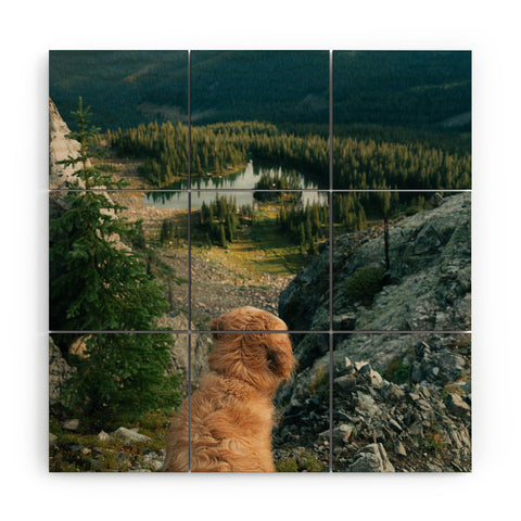 J. Freemond Visuals Lookout Enzo Wood Wall Mural