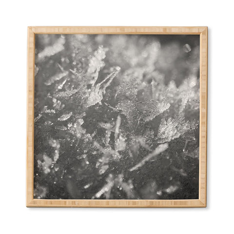 J. Freemond Visuals Surface Hoar Framed Wall Art