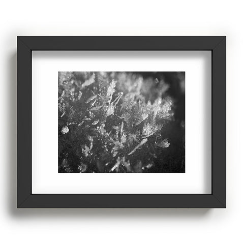 J. Freemond Visuals Surface Hoar Recessed Framing Rectangle