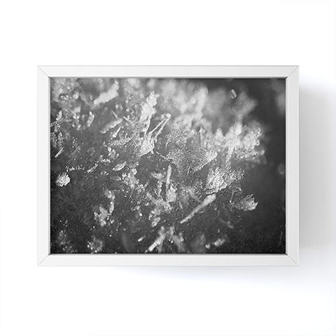 J. Freemond Visuals Surface Hoar Framed Mini Art Print