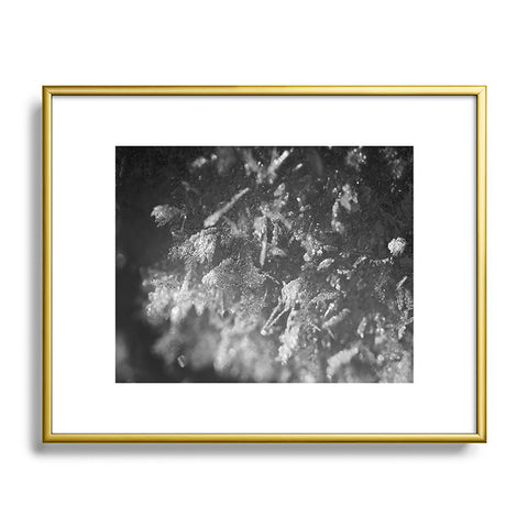 J. Freemond Visuals Surface Hoar Metal Framed Art Print
