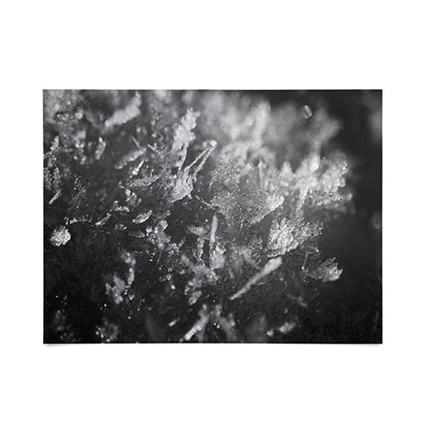 J. Freemond Visuals Surface Hoar Poster