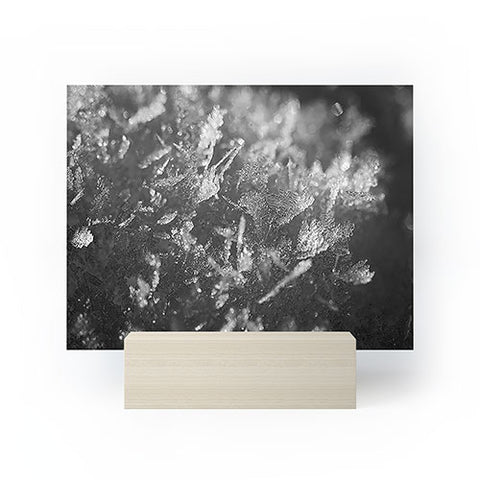 J. Freemond Visuals Surface Hoar Mini Art Print