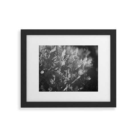 J. Freemond Visuals Surface Hoar Framed Art Print
