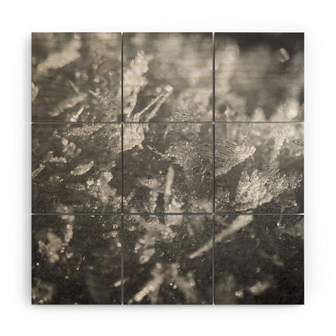 J. Freemond Visuals Surface Hoar Wood Wall Mural