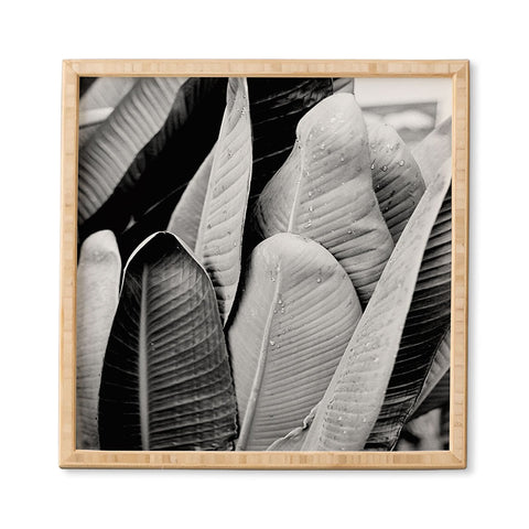 J. Freemond Visuals Texturas Tres Framed Wall Art