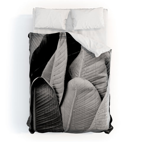 J. Freemond Visuals Texturas Tres Comforter