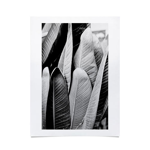 J. Freemond Visuals Texturas Tres Poster