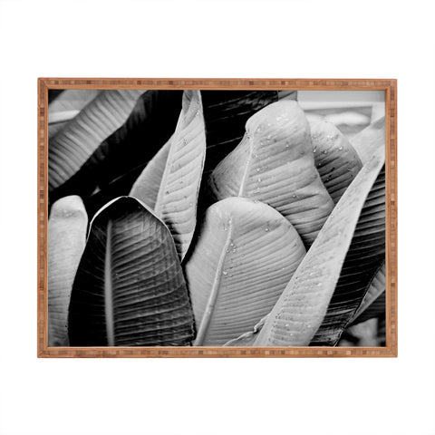 J. Freemond Visuals Texturas Tres Rectangular Tray