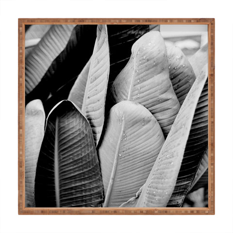 J. Freemond Visuals Texturas Tres Square Tray