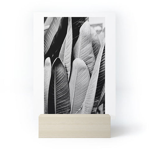 J. Freemond Visuals Texturas Tres Mini Art Print