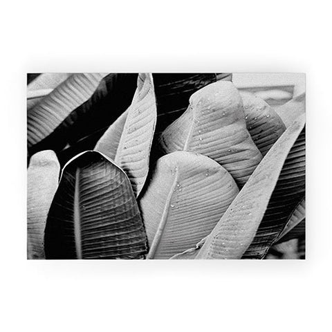 J. Freemond Visuals Texturas Tres Welcome Mat