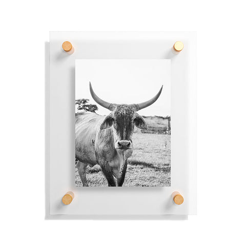 J. Freemond Visuals The Boss Floating Acrylic Print