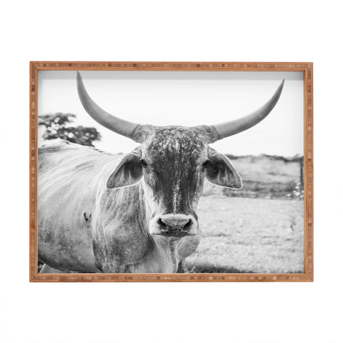 J. Freemond Visuals The Boss Rectangular Tray