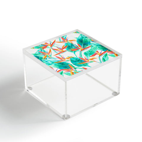 Jacqueline Maldonado Birds Of Paradise Acrylic Box