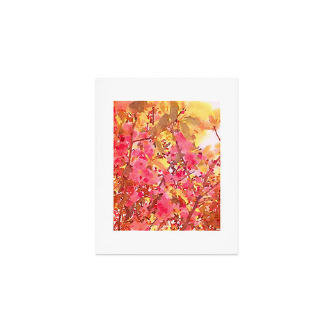 Jacqueline Maldonado Cherry Blossom Canopy Art Print