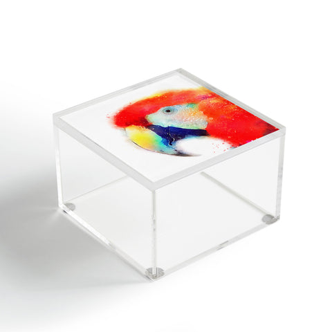 Jacqueline Maldonado The Articulate Acrylic Box